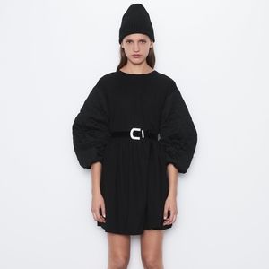 Zara Puff Sleeve Dress